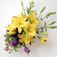 Схема вышивки «Лилии»