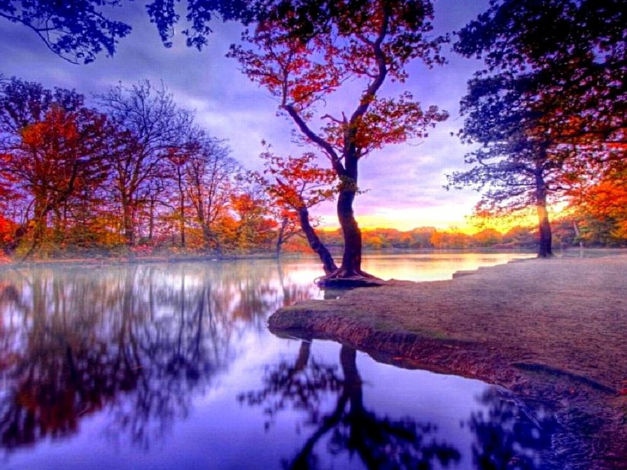 пейзаж в синих тонах - картины, осень, пейзаж, картина - оригинал