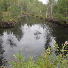 Схема вышивки «природа»