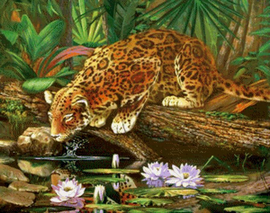 на водопое - вода, живопись, цветы, лотос, джунгли, пруд, леопард, природа, хищник - предпросмотр