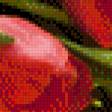 Предпросмотр схемы вышивки «корзина с тюльпанами» (№483964)