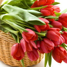 корзина с тюльпанами