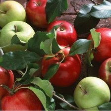 Схема вышивки «Яблоки»