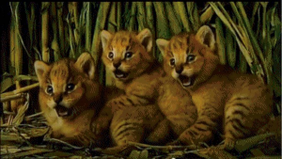 №484130 - предпросмотр