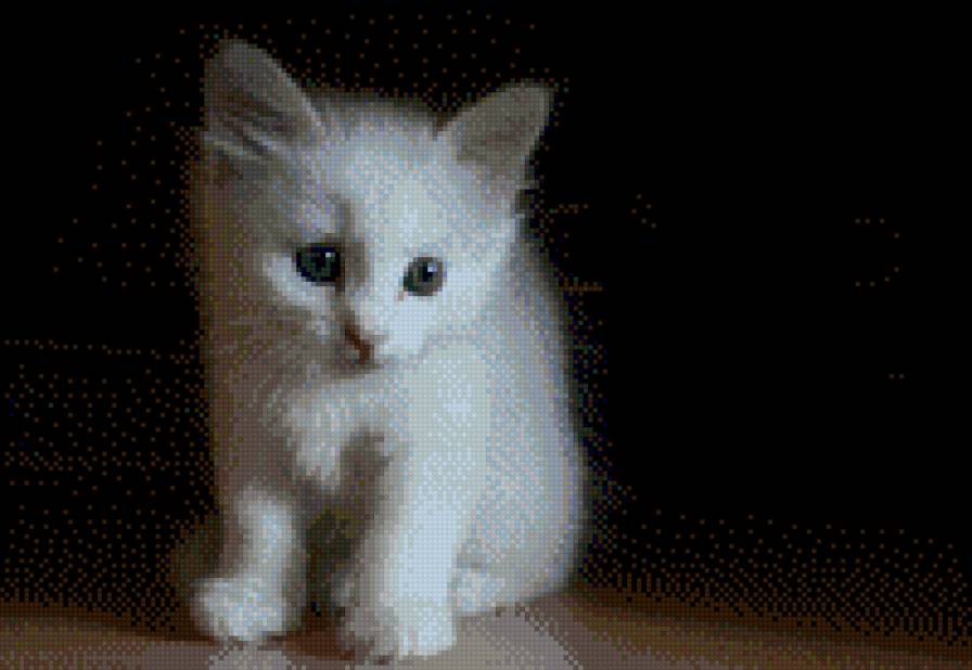 Murrr - два цвета, кот - предпросмотр