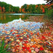 Схема вышивки «№484186»