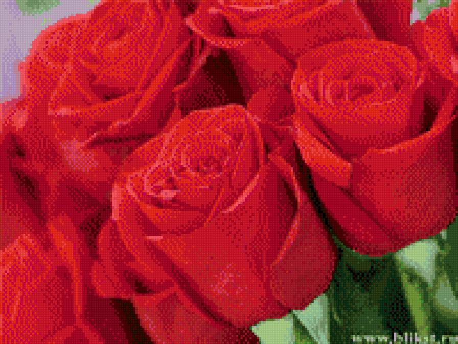 царица цветов - розы, цветы - предпросмотр