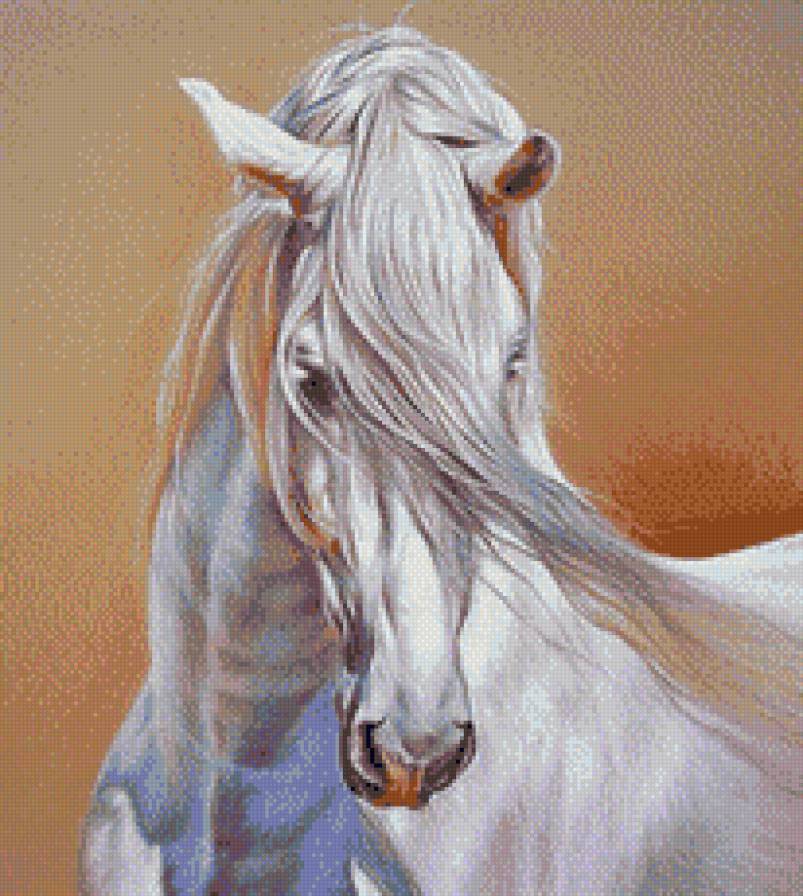 Белый конь - лошади, конь - предпросмотр