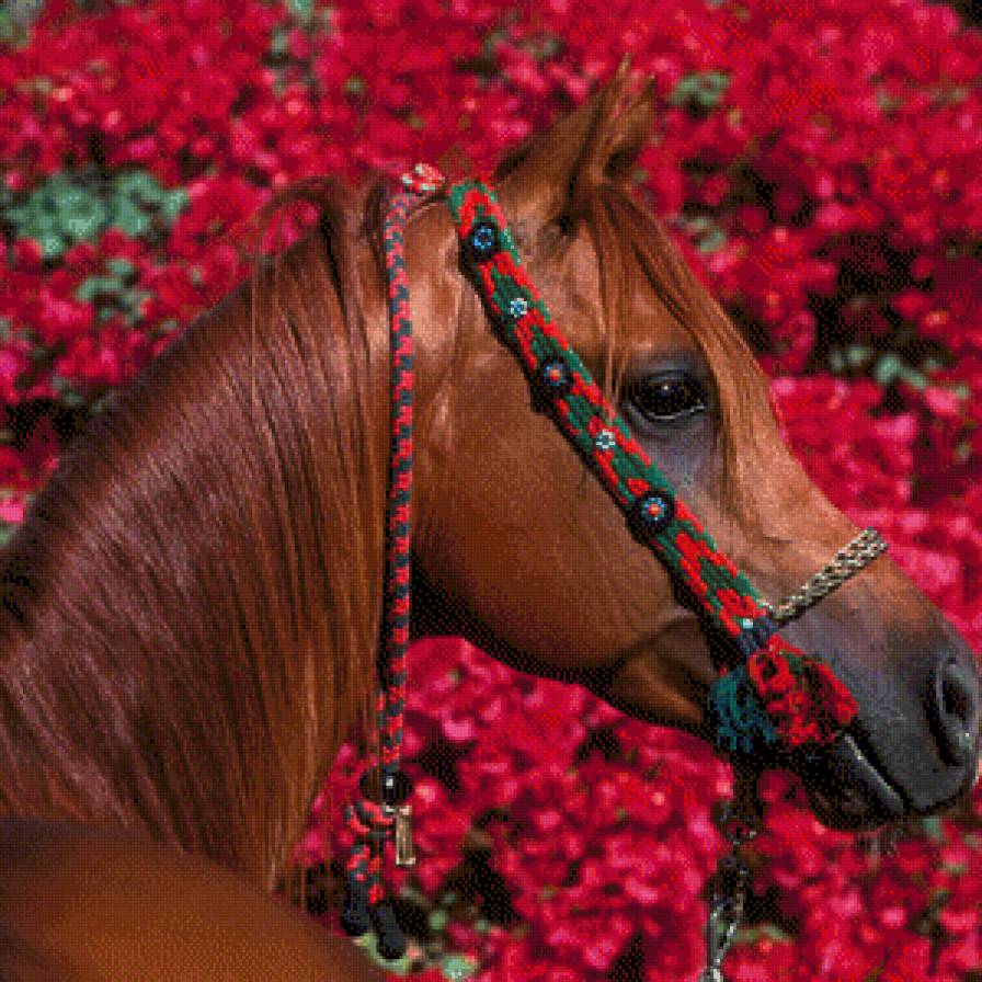 лошадь - лошади, природа, подушки, лошадь - предпросмотр