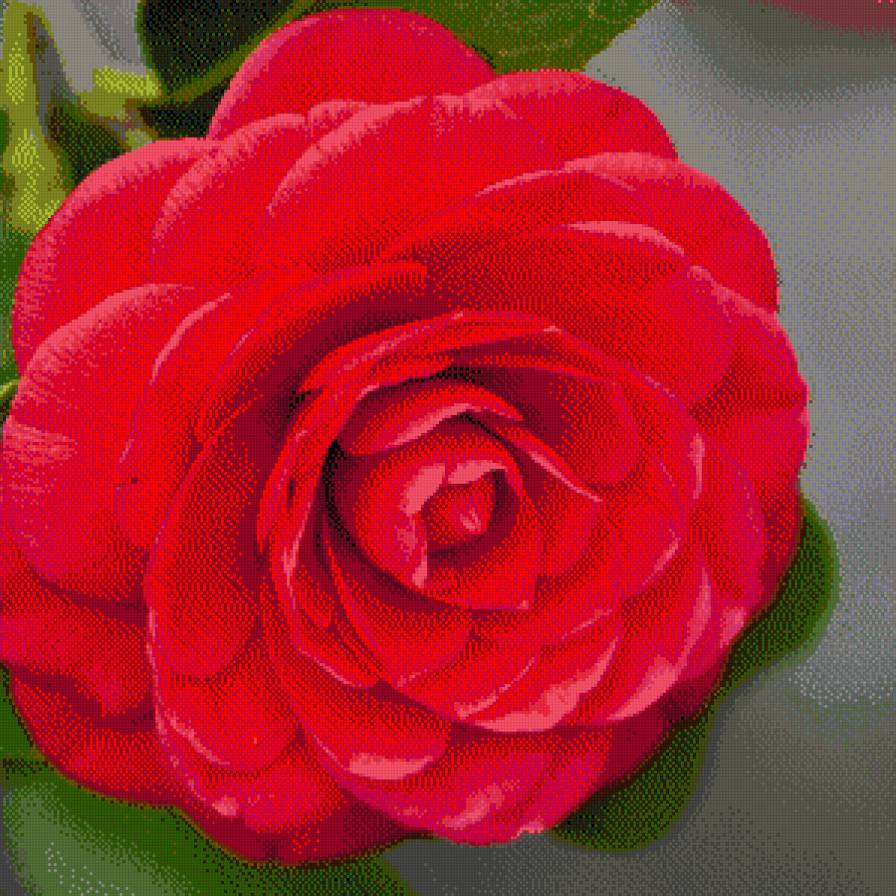 роза - розы, подушки, цветы - предпросмотр