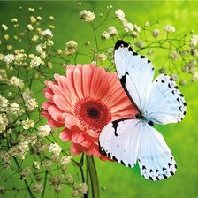 Оригинал схемы вышивки «Цветы с бабочкой» (№484914)