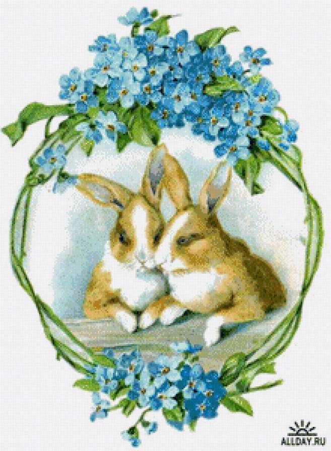 Кролики - предпросмотр