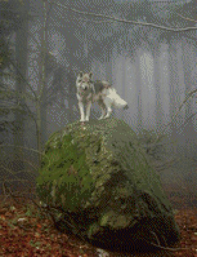 №485070 - предпросмотр