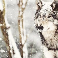 Схема вышивки «№485076»