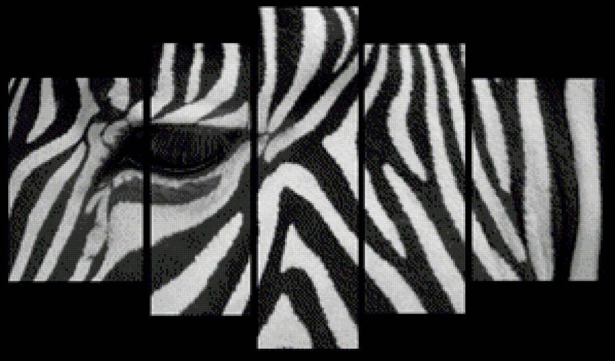 зебра - модульная картина - предпросмотр