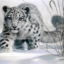 Схема вышивки «снежный»