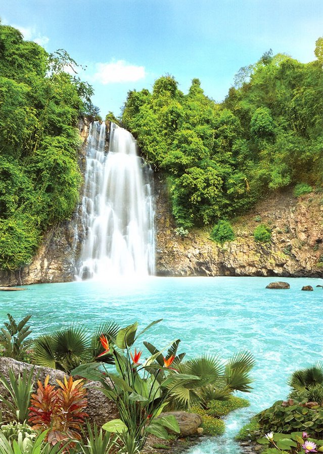 водопад - лето, природа, деревья, вода - оригинал