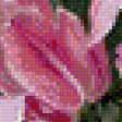 Предпросмотр схемы вышивки «букет цветов» (№485673)