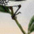 Предпросмотр схемы вышивки «Серия "Птички-невелички"» (№485788)