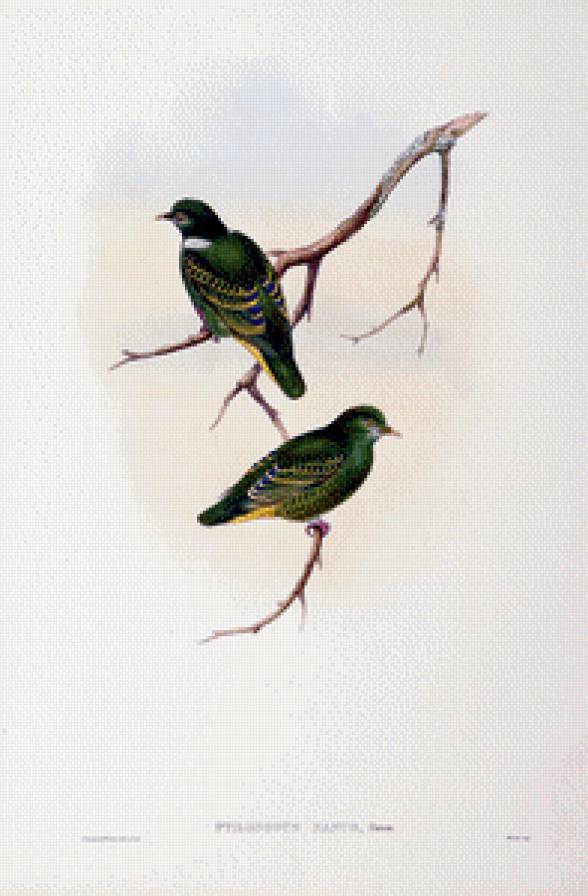 Серия "Птички-невелички" - осень, птицы - предпросмотр