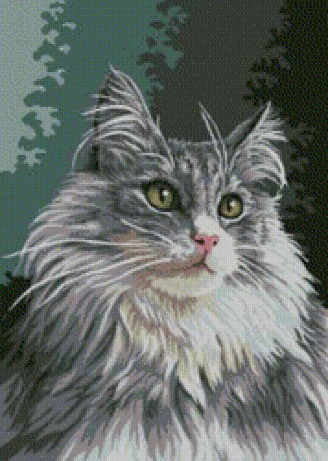 Кошечка - монохром, коты, животные - предпросмотр