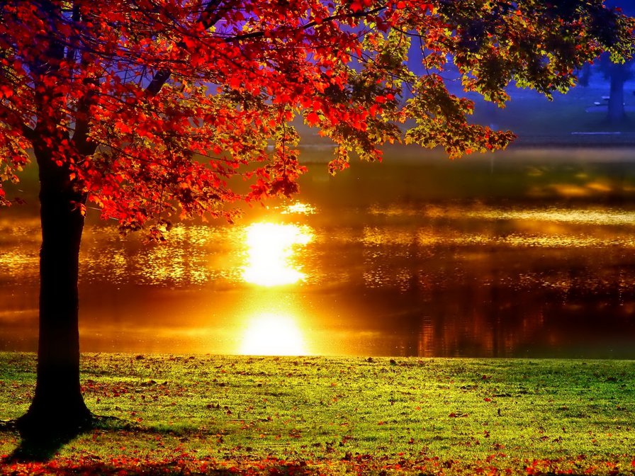 в лучах заходящего солнца 2 - осень, пейзаж, картина, картины - оригинал