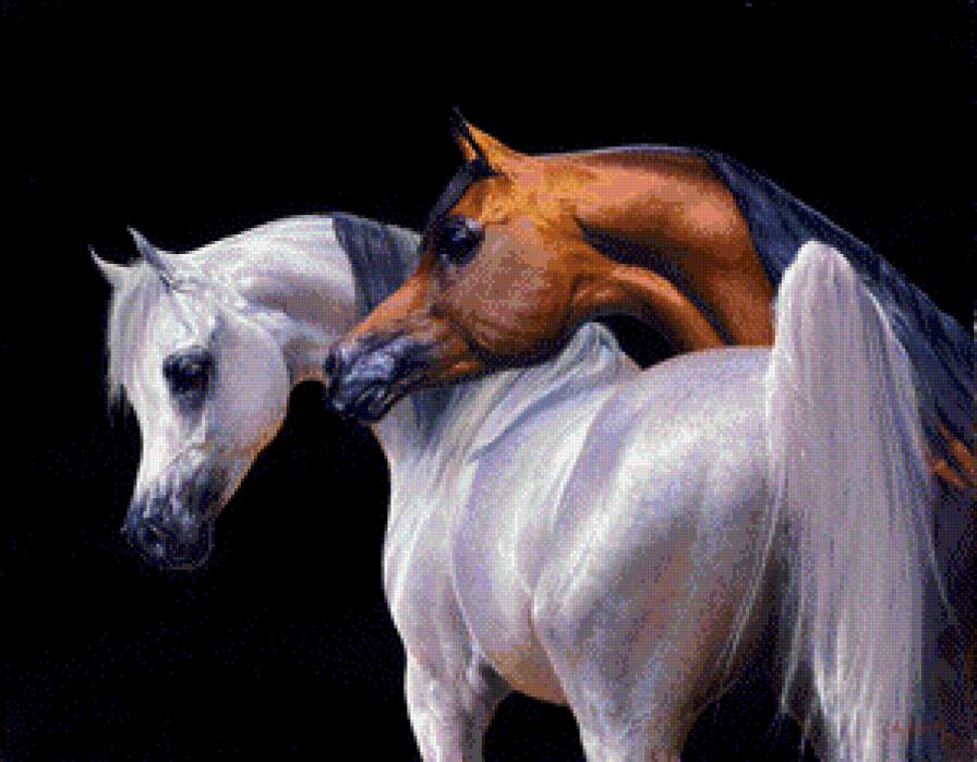 серия "кони" - животные.кони.лошади - предпросмотр