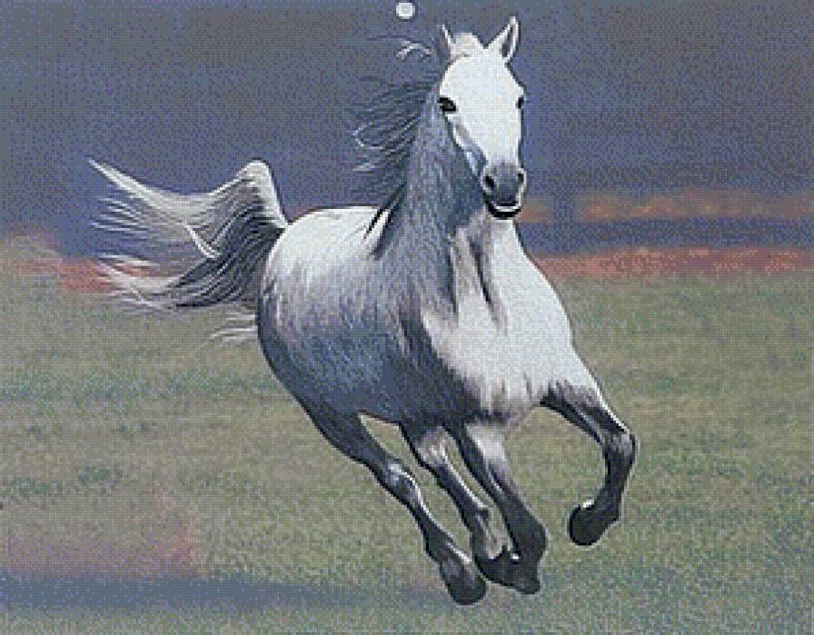 серия "кони" - животные.конь.лошадь - предпросмотр