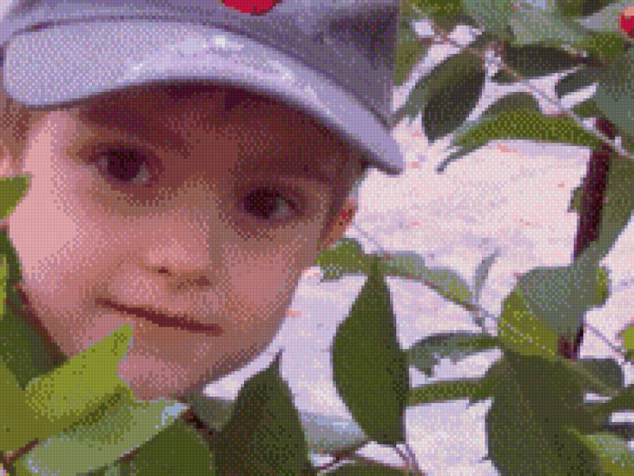 №486063 - предпросмотр