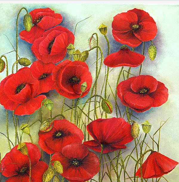 Маки - цветы - оригинал