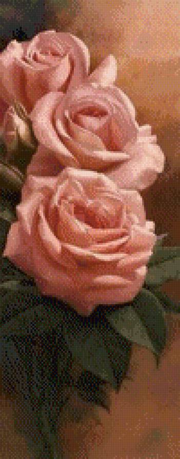 №486153 - природа, роза, растение, цветы - предпросмотр