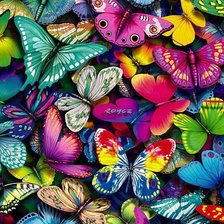 Схема вышивки «яркие бабочки»
