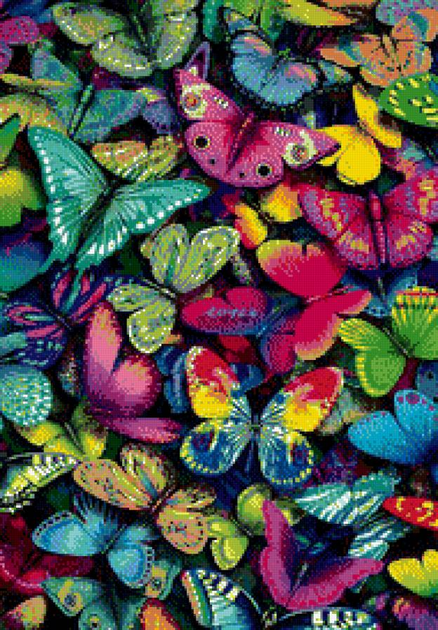 яркие бабочки - бабочки - предпросмотр