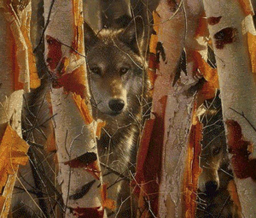 Волки - волк, животные - предпросмотр