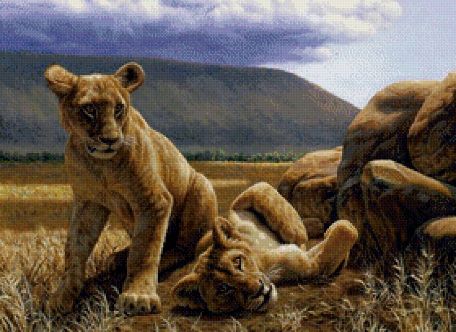Львята - животные, дикие кошки - предпросмотр