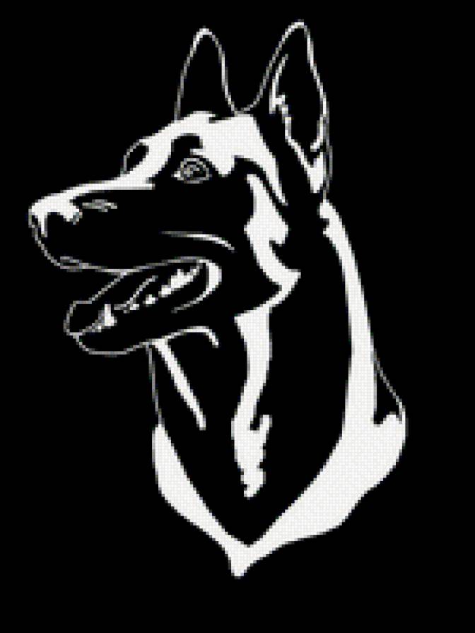 малинуа - предпросмотр