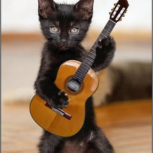 Схема вышивки «Кот с гитарой»