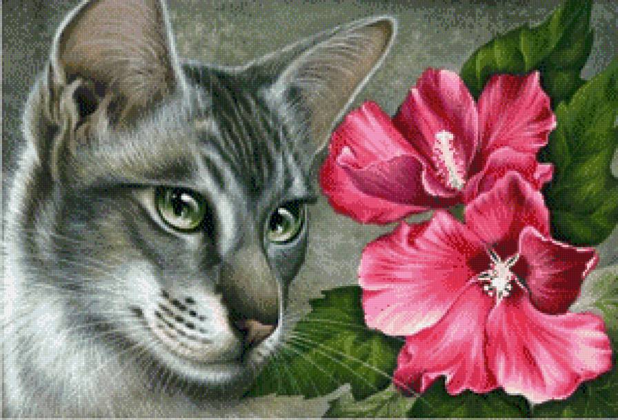 кошки и цветы - кошки, домашние животные, розовые цветы, кот, кошка, гибискус - предпросмотр