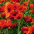 Предпросмотр схемы вышивки «Маки 4» (№486736)