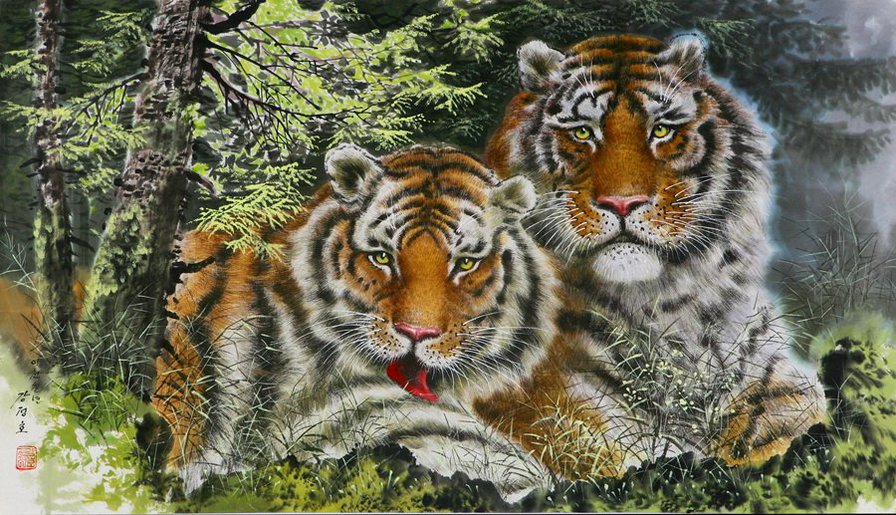 тигры - дикие кошки, тигры, животные, коты - оригинал
