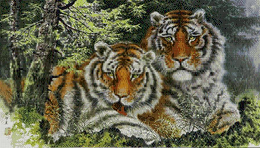тигры - дикие кошки, коты, тигры, животные - предпросмотр