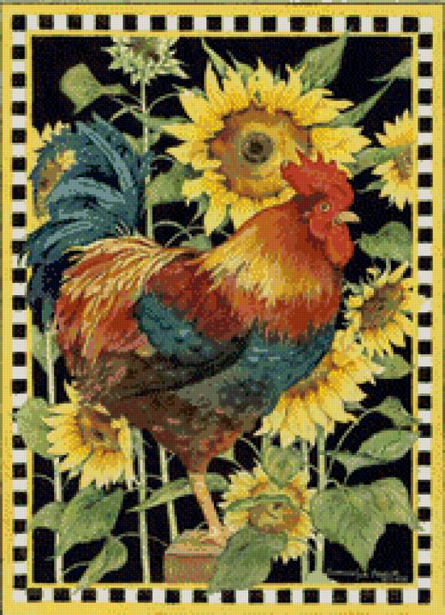 петух в подсолнухах - подсолнухи, природа, птицы - предпросмотр