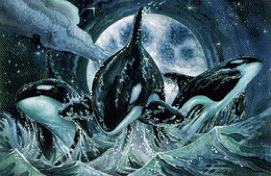 киты - касатки, море, киты, морские животные - предпросмотр