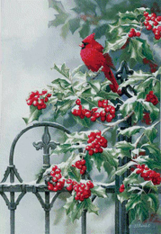 птичка на рябине - рябина, зима, снег, природа, птицы - предпросмотр