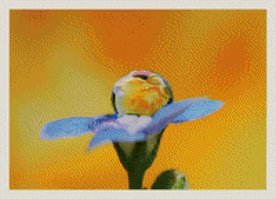 капелька росы - цветы - предпросмотр