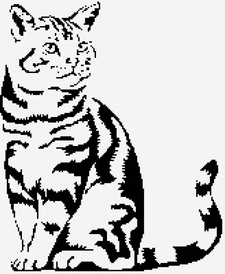 Кот - кошки - предпросмотр