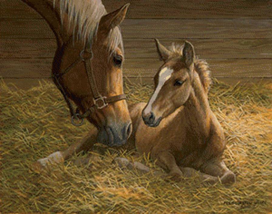 лошадь и жеребенок - предпросмотр