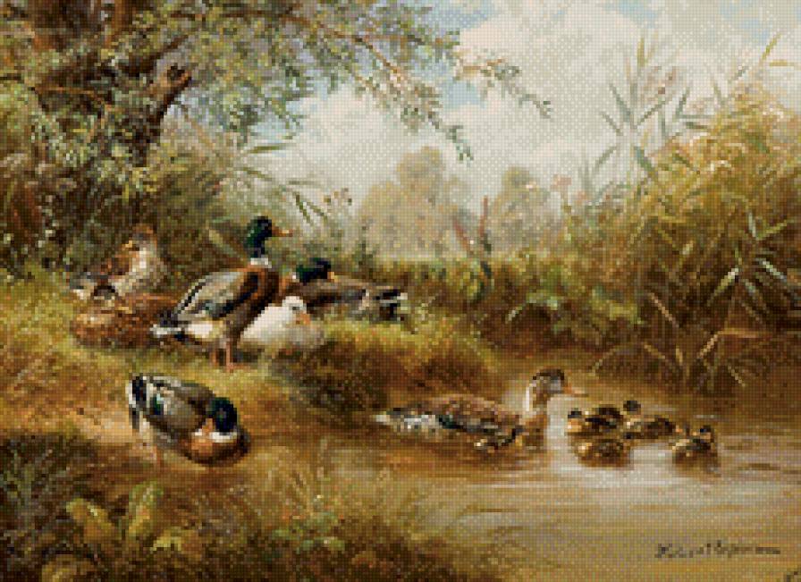 Утиная семья - утки - предпросмотр