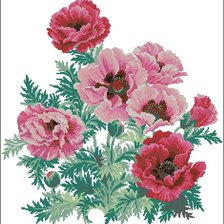 Схема вышивки «маки»