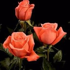 Схема вышивки «№487058»